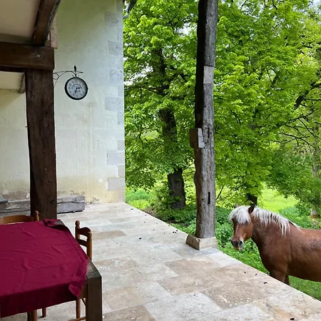 Holiday home Chateau De La Brillere